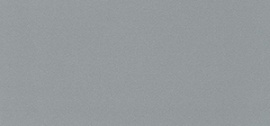 Dupont™ Corian® Silverite